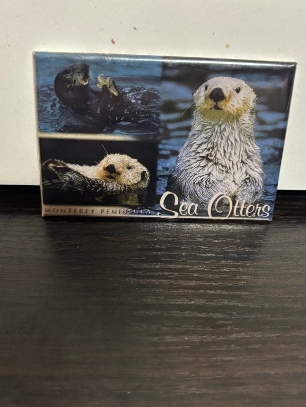 Sea Otter Magnet